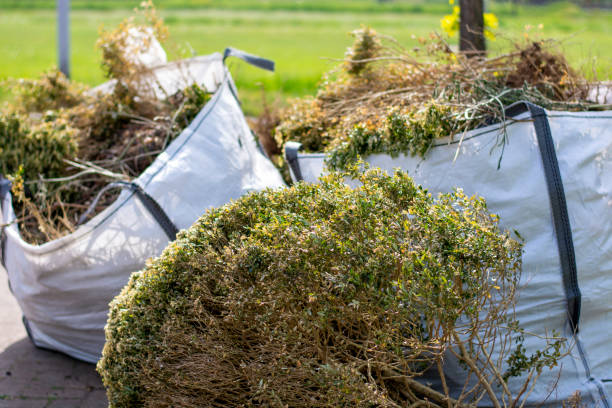 Best Scrap Metal Removal  in Osseo, MN
